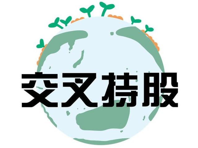 交叉持股安排设计(交叉持股怎么计算持股比例)临夏市