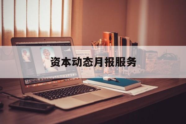 资本动态月报服务(资金月报表操作流程)临夏市