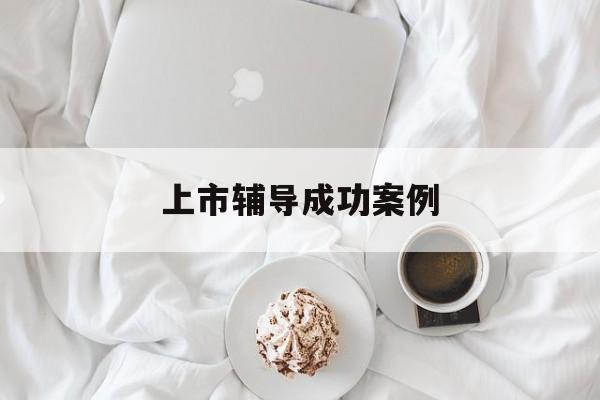 上市辅导成功案例(上市辅导成功后肯定会上市吗)临夏市