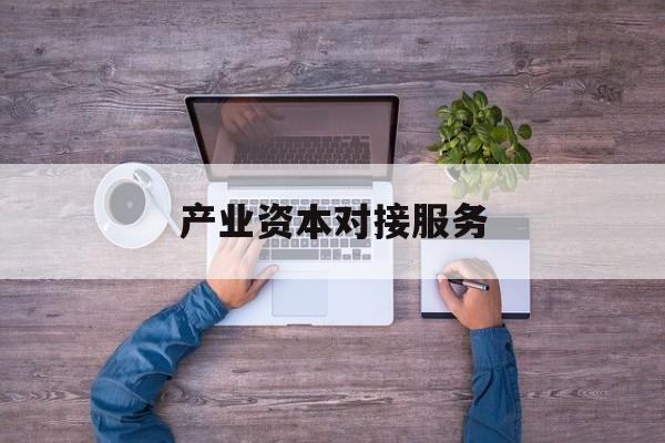 产业资本对接服务(产业资本对接服务包括哪些)临夏市